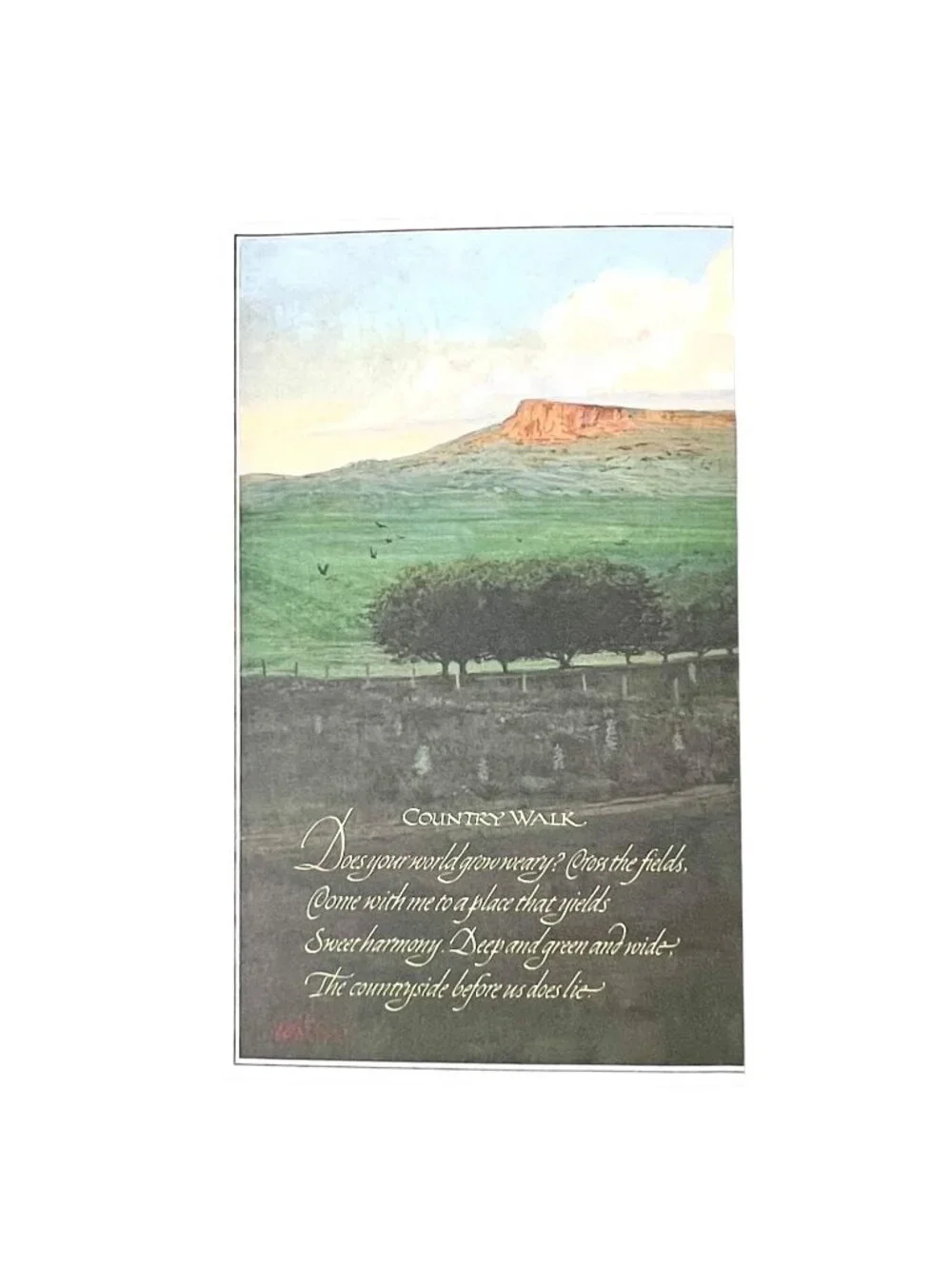Vintage 1978 Current Inc Keepsake Greetings Tri-Fold Card Set of 4 Nature Theme
